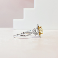 Cushion Double Halo Ring