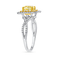 Cushion Double Halo Ring