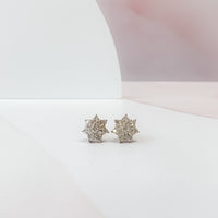 Star Cluster Stud Earrings